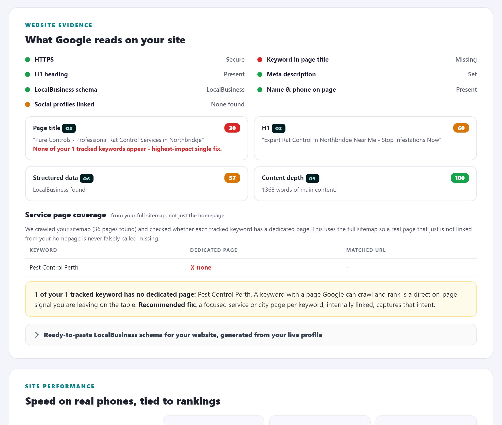 Website section of the audit report: what Google reads on the site, service page coverage from the sitemap, and ready-to-paste LocalBusiness schema generated from the live profile